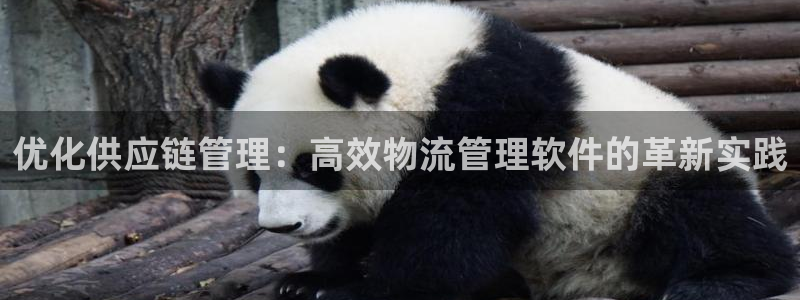 超凡国际注册二维码:优化供应链管理: