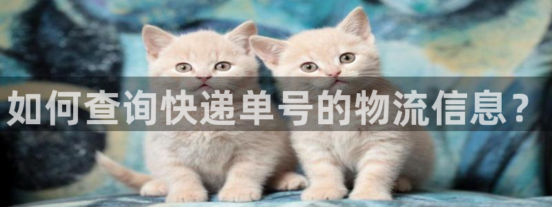 超凡国际加拿大28