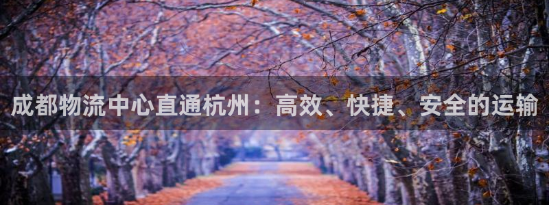 自行车超凡国际是什么意思：成都物流中