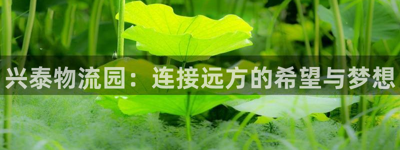 超凡国际链接是什么：兴泰物流园：连接