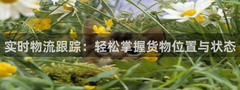 超凡国际圈：实时物流跟踪：轻松掌握货
