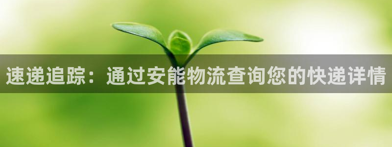 超凡国际相信品牌的力量：速递追踪：通