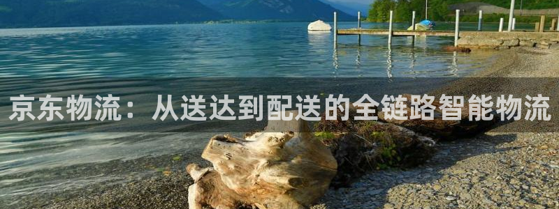 超凡国际官网入口app：京东物流：从