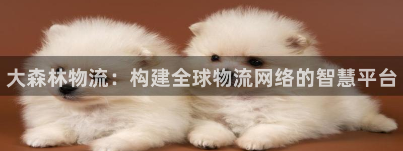 超凡国际软件是什么：大森林物流：构建