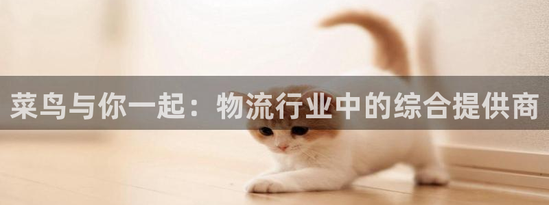 超凡国际吧：菜鸟与你一起：物流行业中