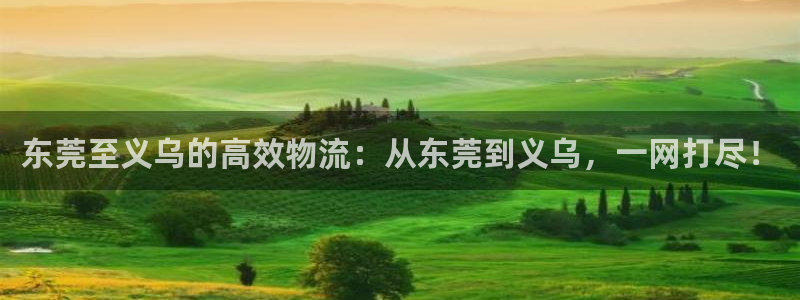 超凡国际加拿大模拟器：东莞至义乌的高