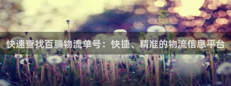 超凡国际官网链接：快速查找百腾物流单号：快捷、精准的物流信息