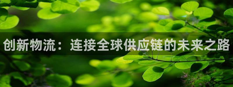 超凡国际官网入口2024：创新物流：