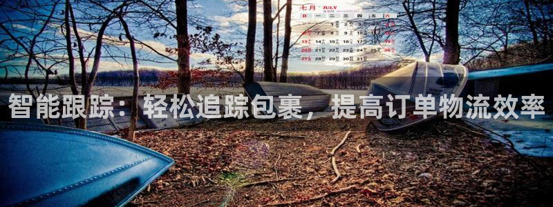 超凡国际加拿大在线预测：智能跟踪：轻