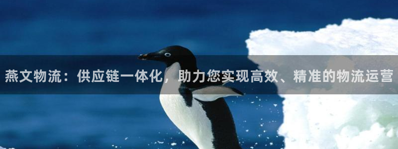 超凡国际游戏最新版：燕文物流：供应链