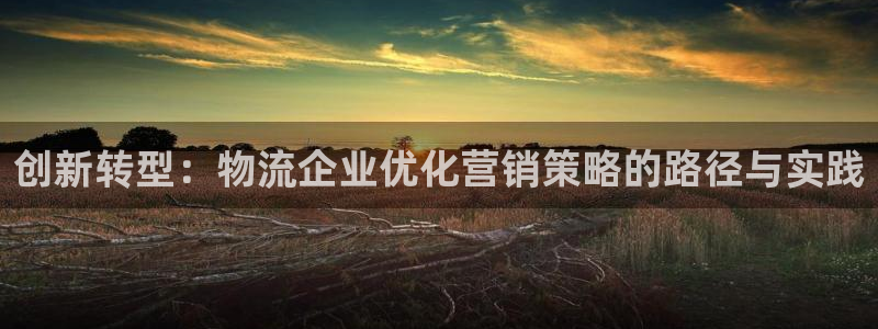 超凡国际官方版网站：创新转型：物流企业优化营销策略的路径与实