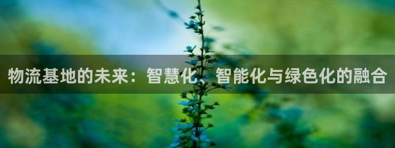 超凡国际下分了不给钱：物流基地的未来