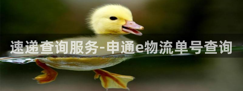 超凡国际如何注销账号：速递查询服务-