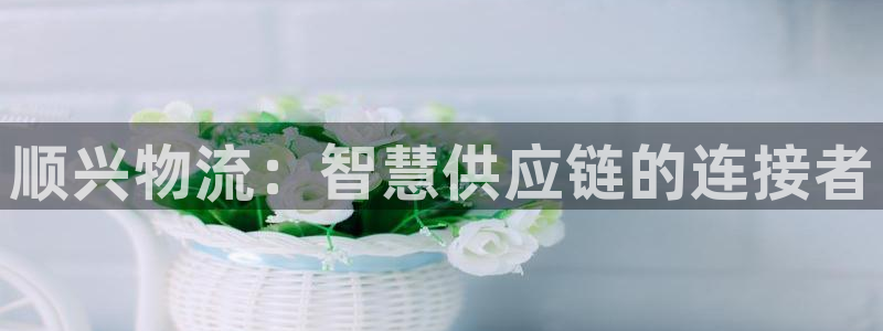 超凡国际官网入口pc28：顺兴物流：