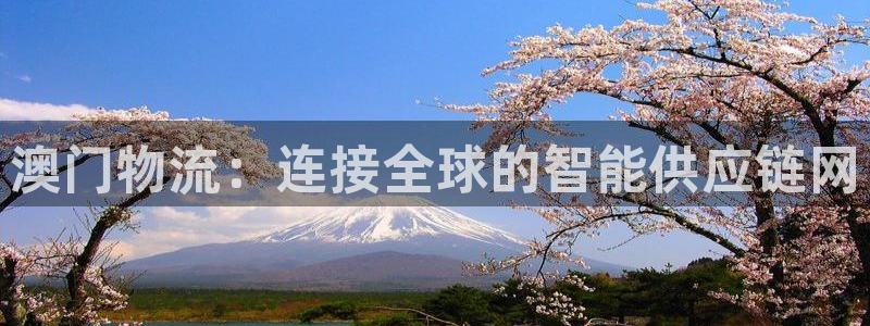 超凡国际官网入口2024：澳门物流：