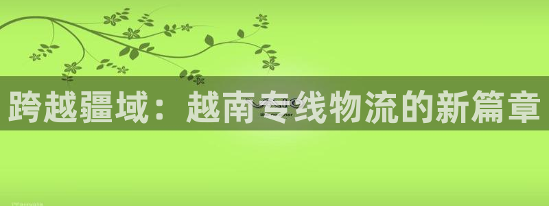 超凡国际口：跨越疆域：越南专线物流的