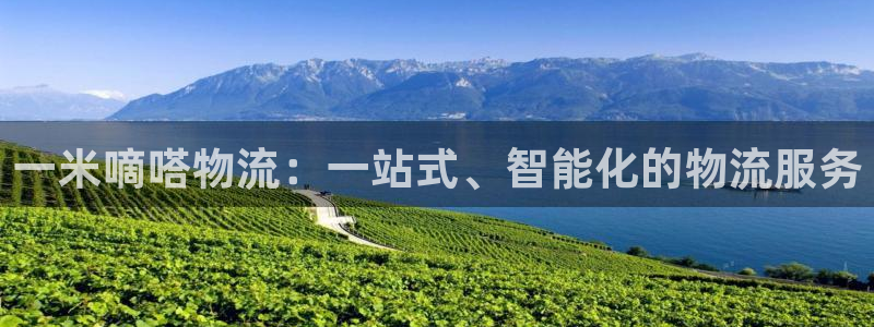 超凡国际黑款:一米嘀嗒物流:一站式、