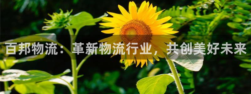 超凡国际官网平台下载