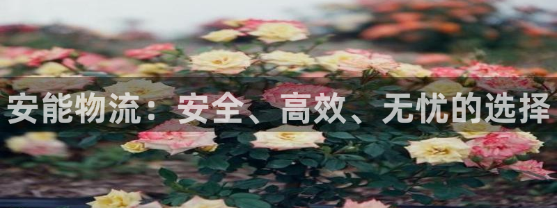 超凡国际初始资金密码在哪里改