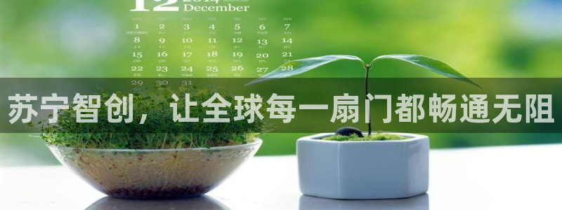 超凡国际选28ng官网：苏宁智创，让