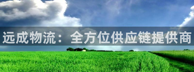 超凡国际登录流程：远成物流：全方位供