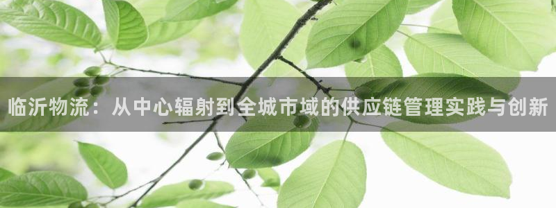 超凡国际官方官网版：临沂物流：从中心